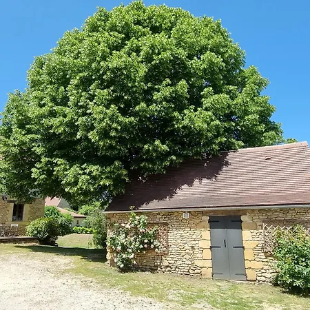 Bed & Breakfast D'hotes L'oustralac La Chapelle-Aubareil